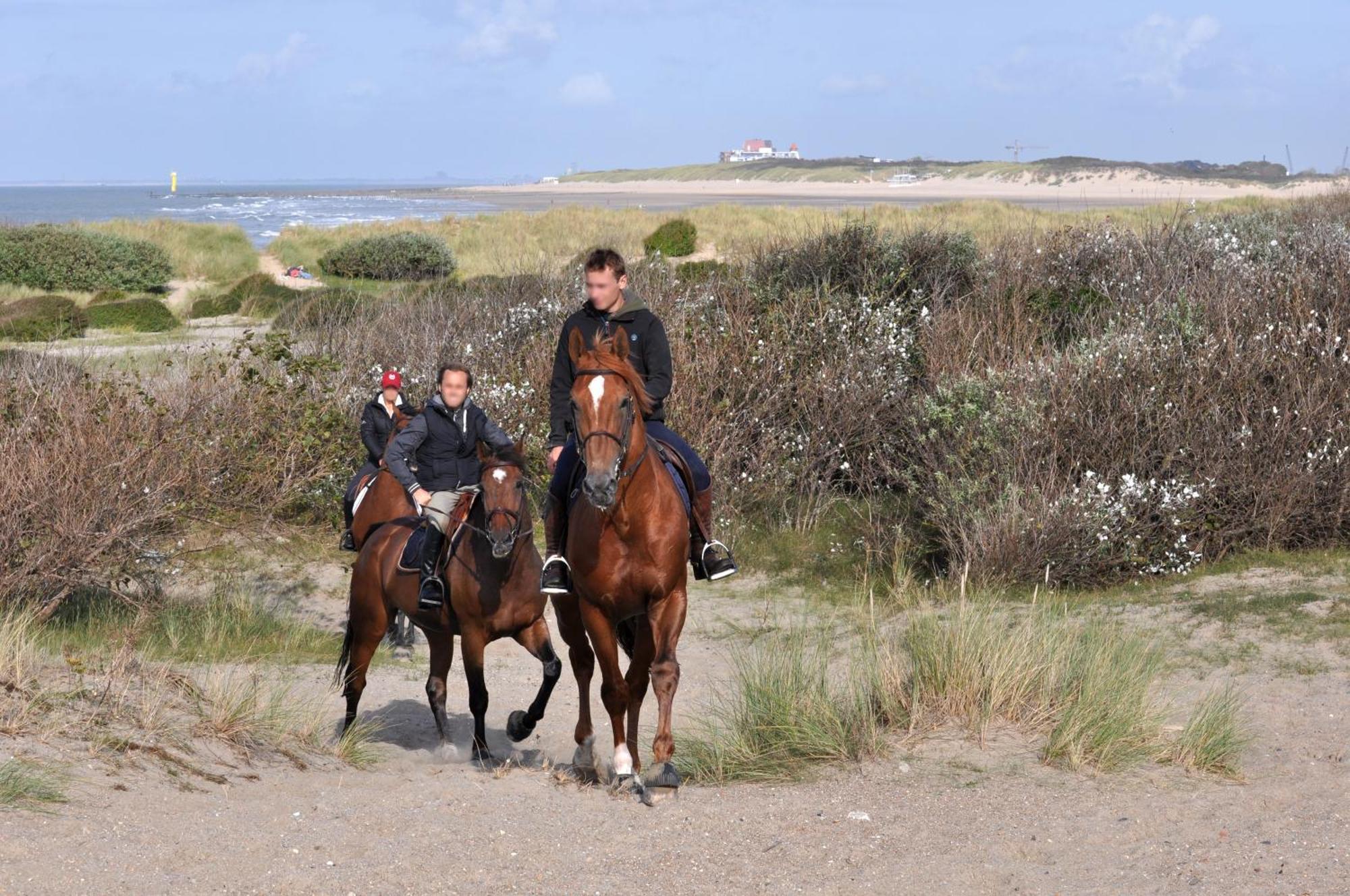 B&B Aquavit Knokke-Heist Kültér fotó